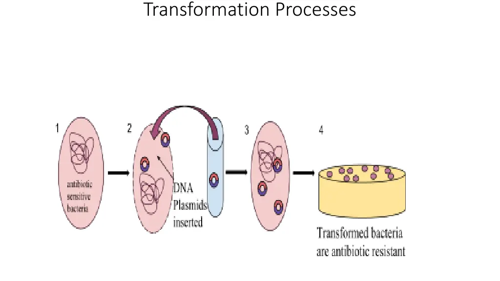 transformation processes 1