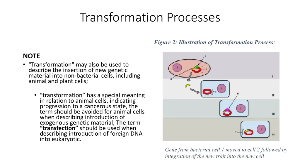 transformation processes
