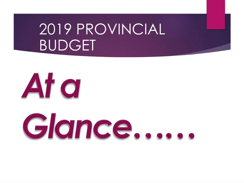 2019 provincial budget