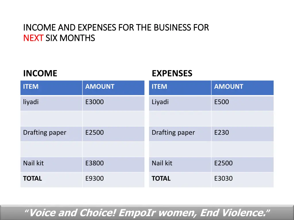 income and expenses for the business for income 1