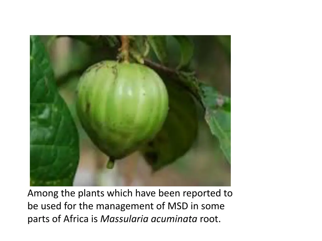 among the plants which have been reported