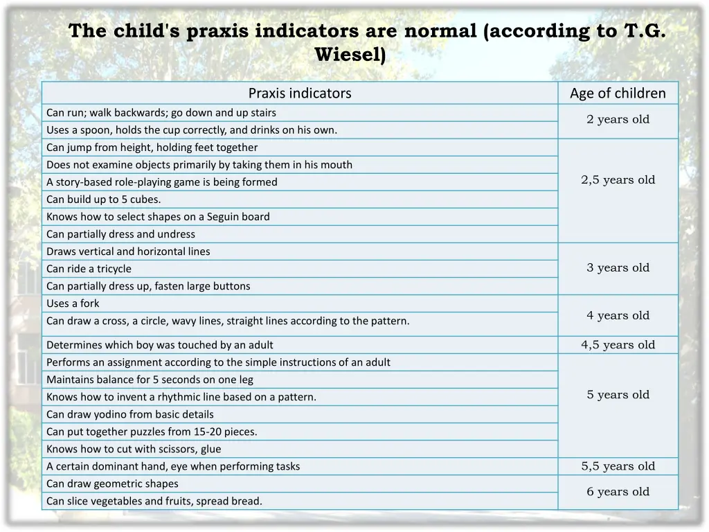 the child s praxis indicators are normal