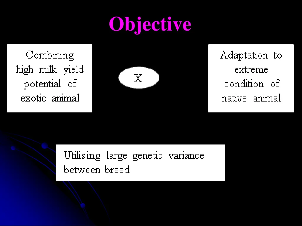 objective