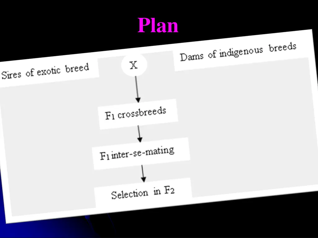 slide3