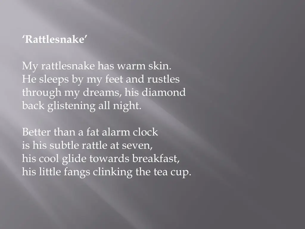 rattlesnake