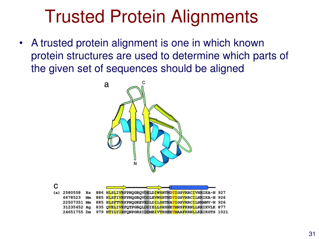 trusted protein alignments