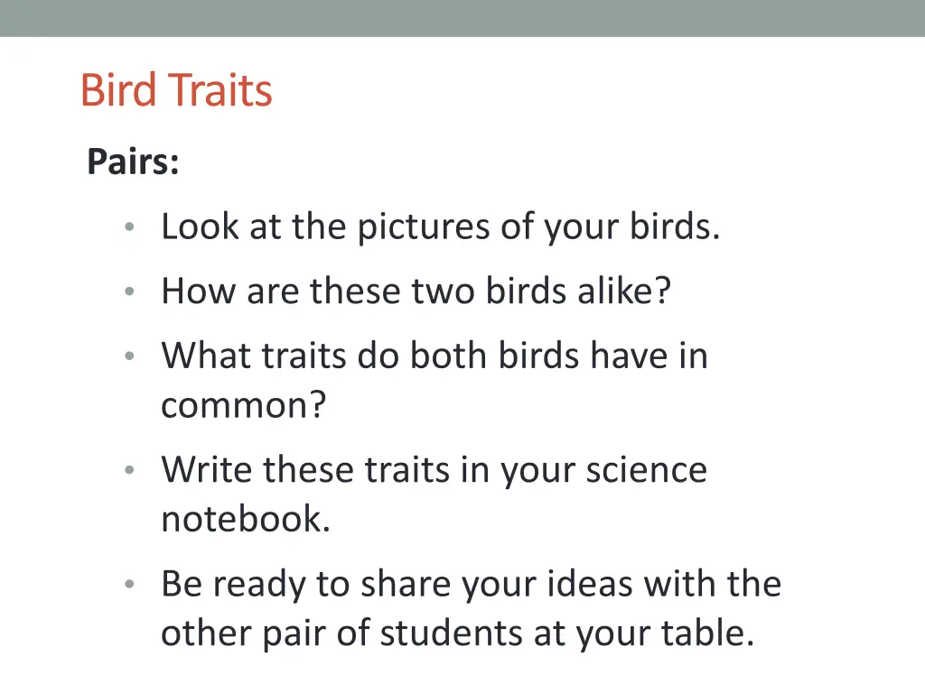 bird traits
