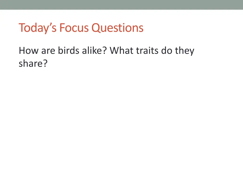 today s focus questions