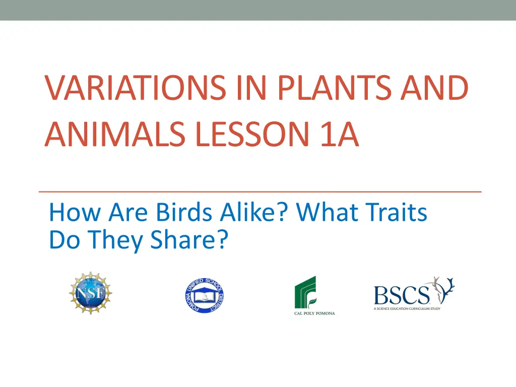 variations in plants and animals lesson 1a