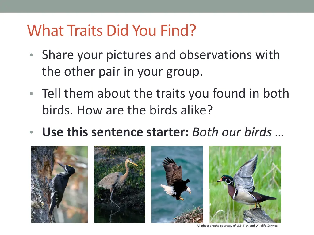 what traits did you find