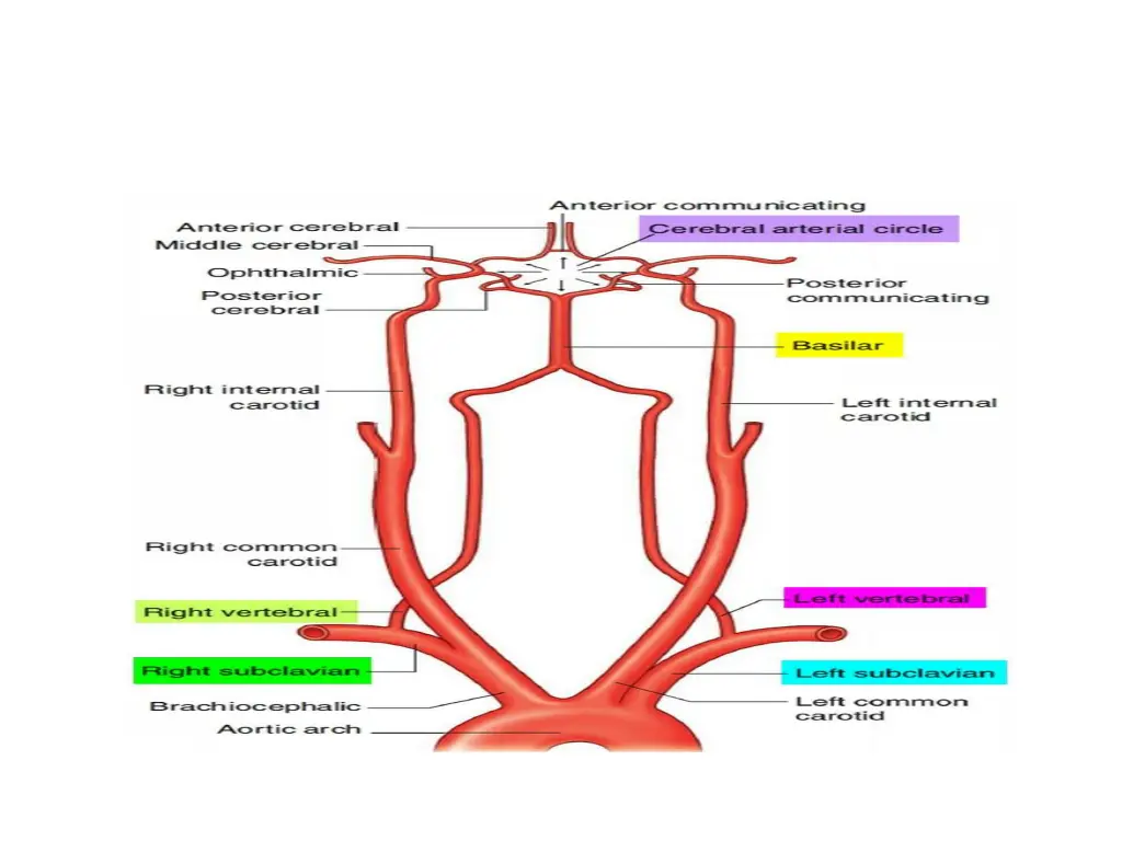slide7