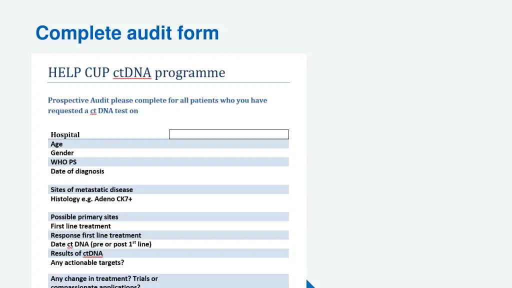 complete audit form