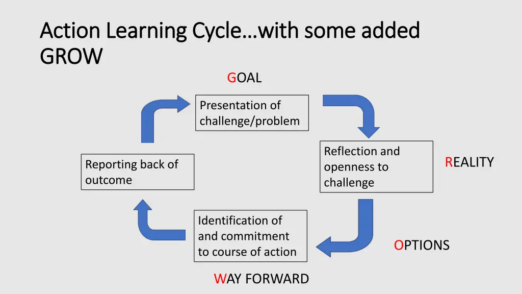 action learning cycle with some added action