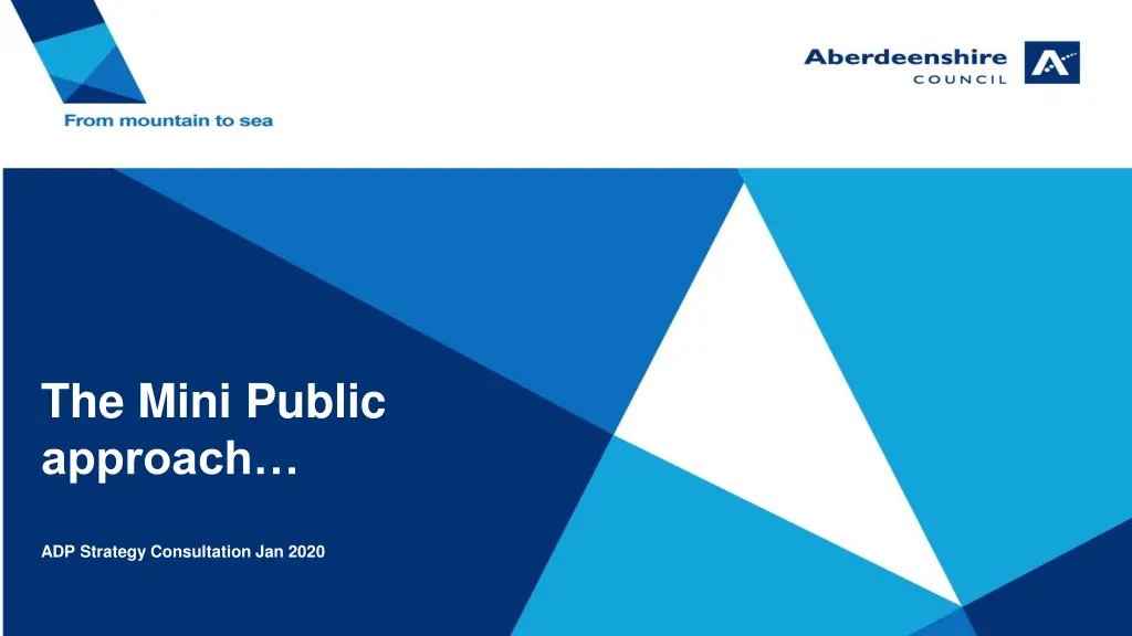 the mini public approach