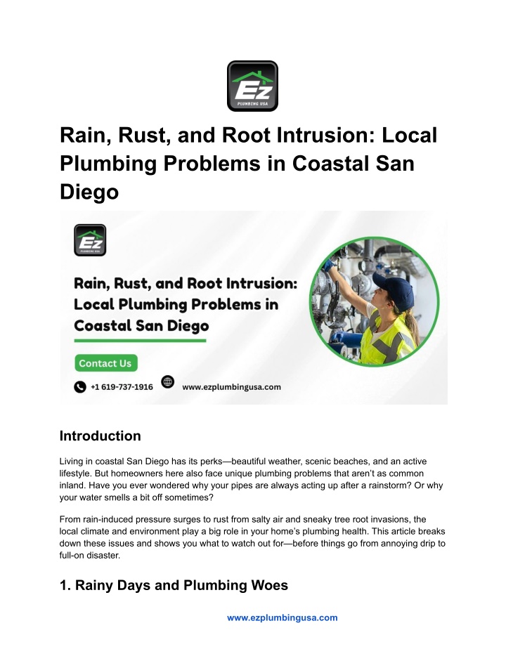 rain rust and root intrusion local plumbing