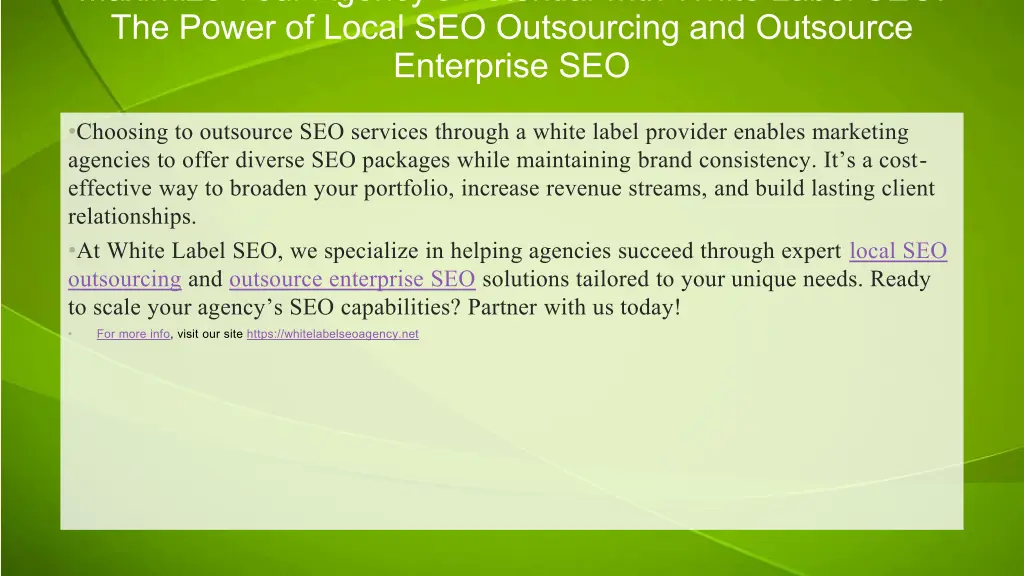 maximize your agency s potential with white label 1