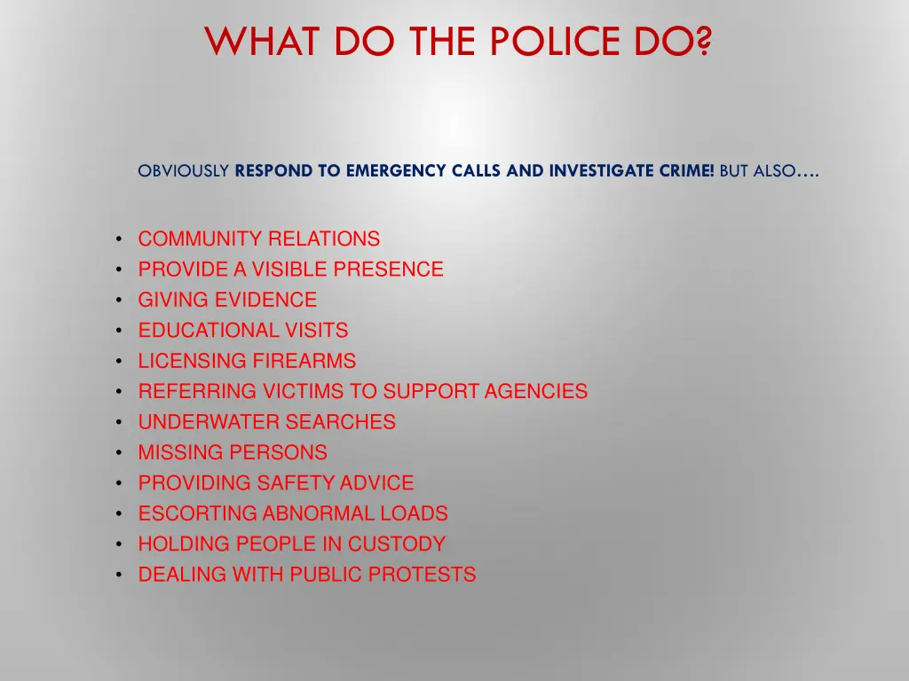 what do the police do