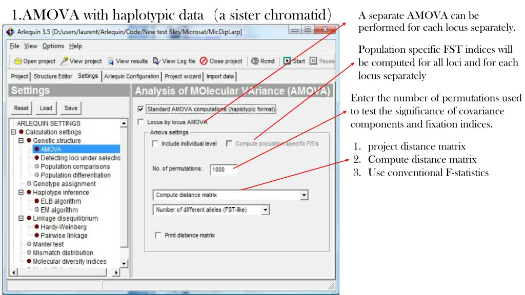 1 amova with haplotypic data a sister chromatid