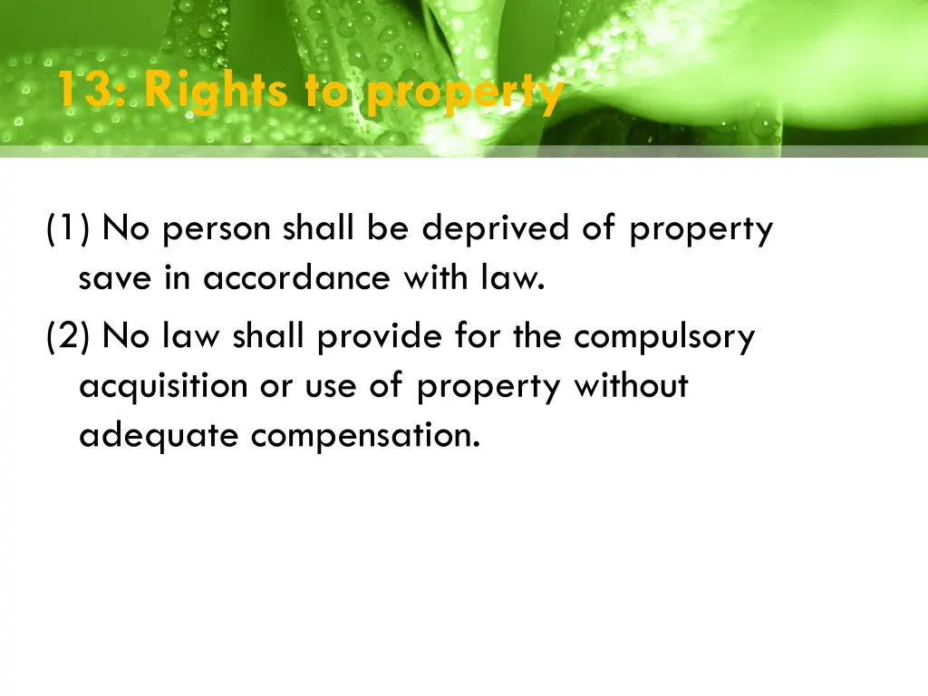 13 rights to property