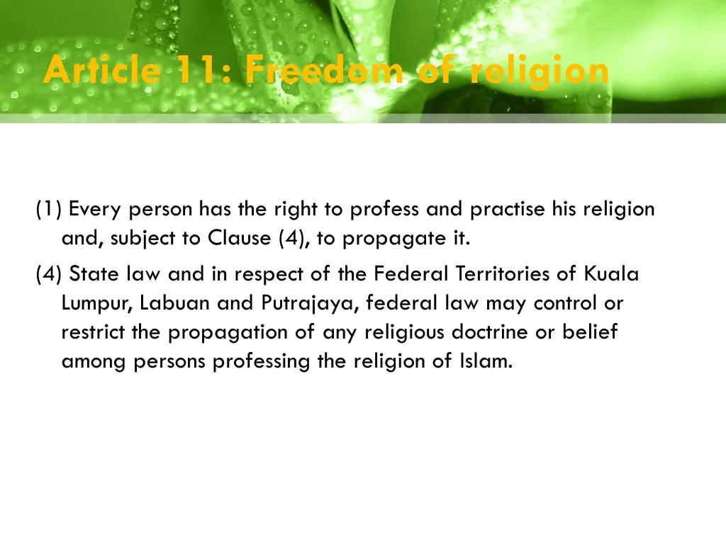 article 11 freedom of religion