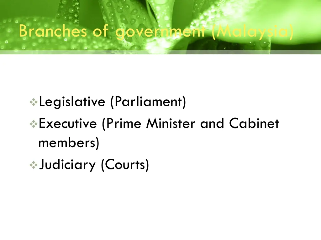 branches of government malaysia