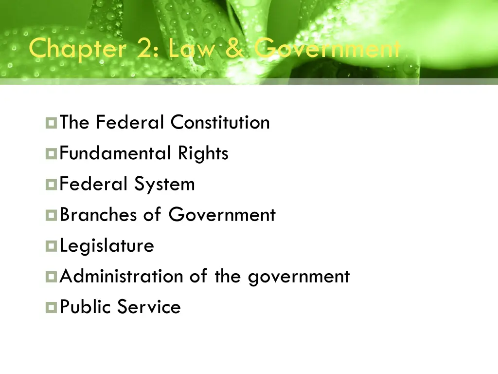chapter 2 law government