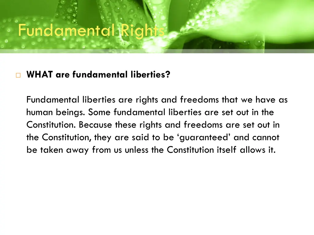 fundamental rights