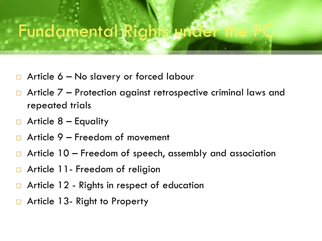 fundamental rights under the fc