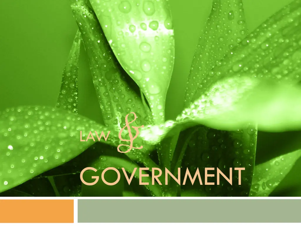 law government