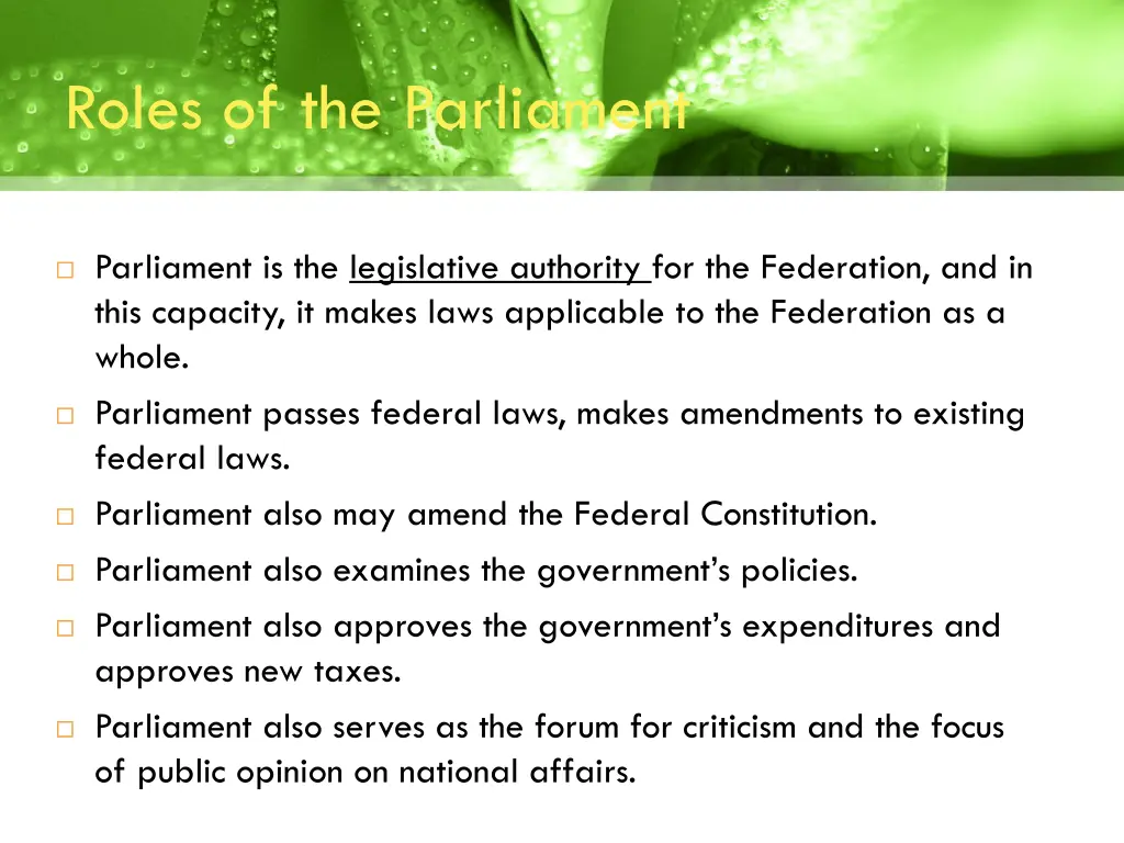 roles of the parliament