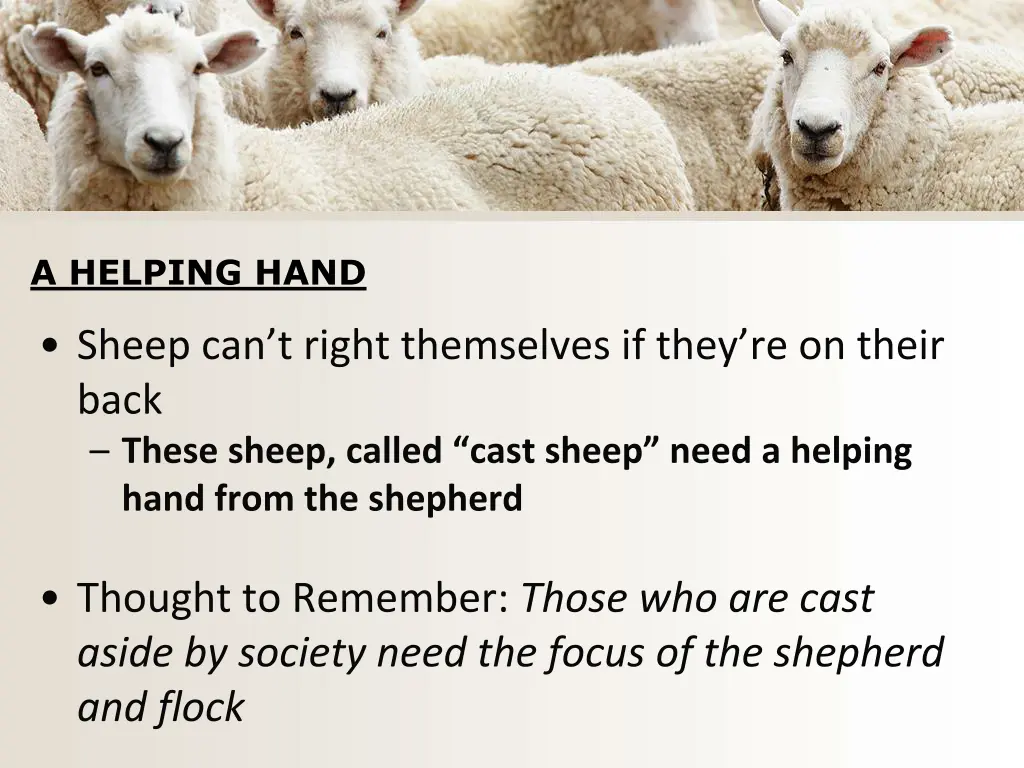 a helping hand