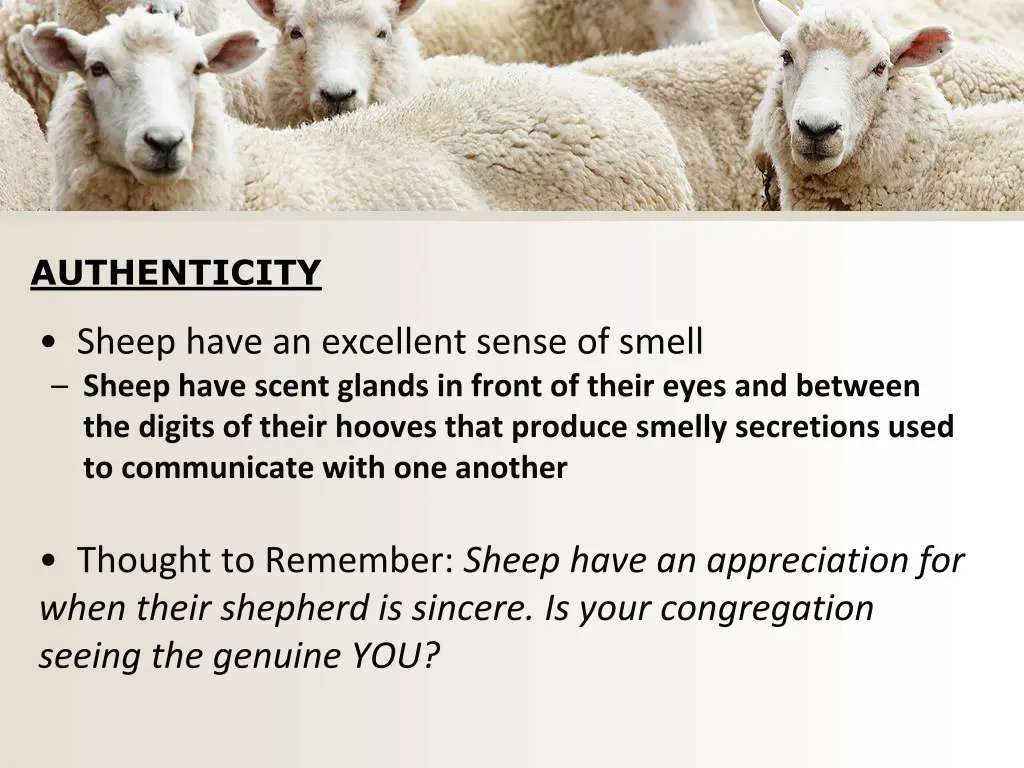 authenticity 1
