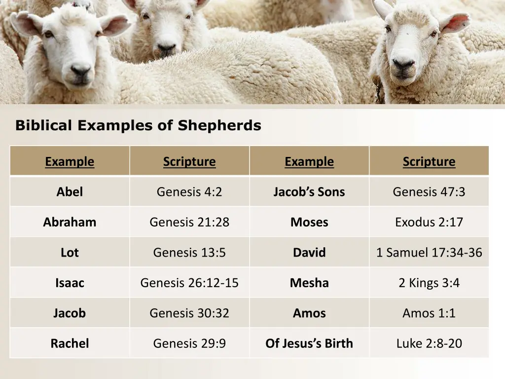 biblical examples of shepherds