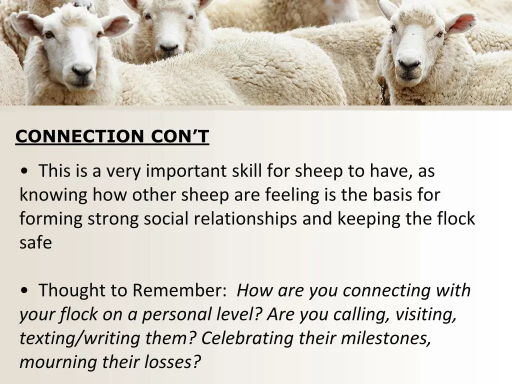 connection con t