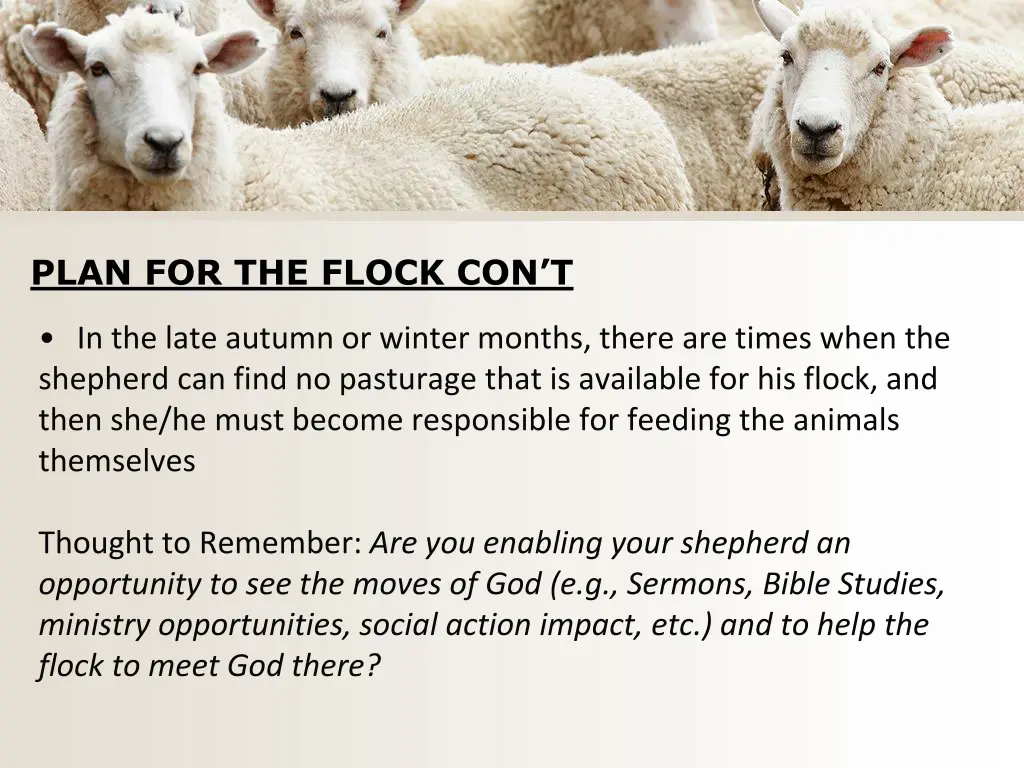 plan for the flock con t