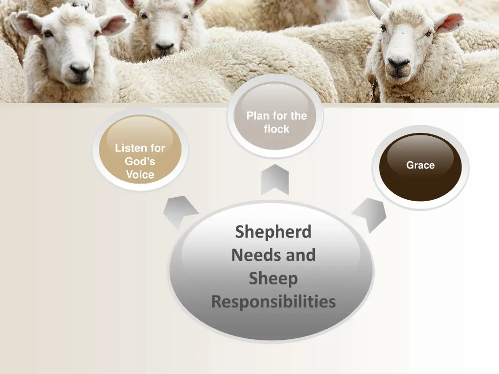 plan for the flock