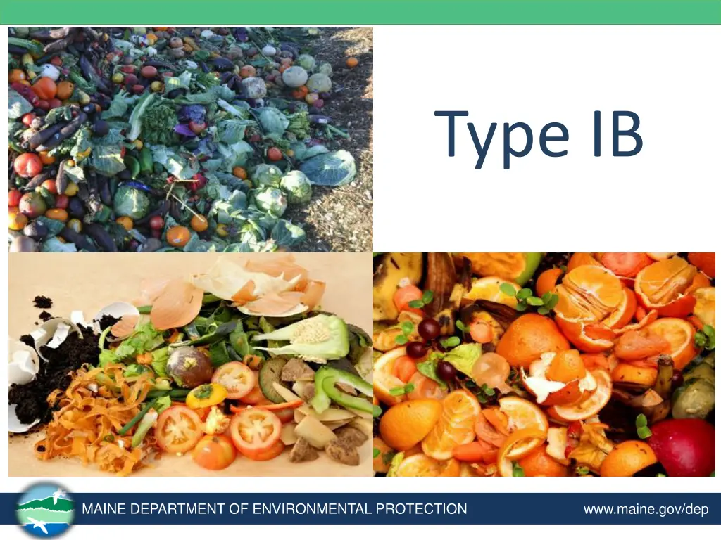 type ib