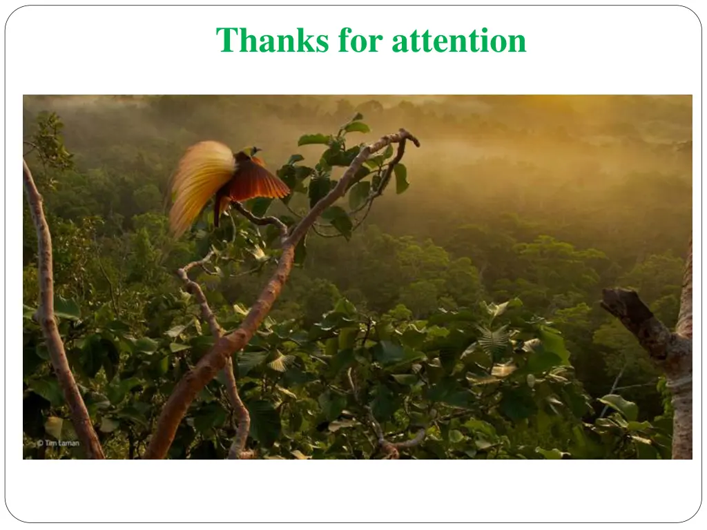 thanks for attention