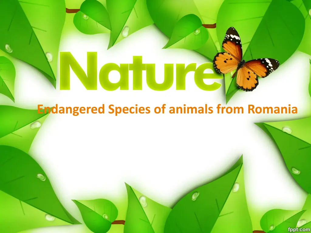 endangered species of animals from romania