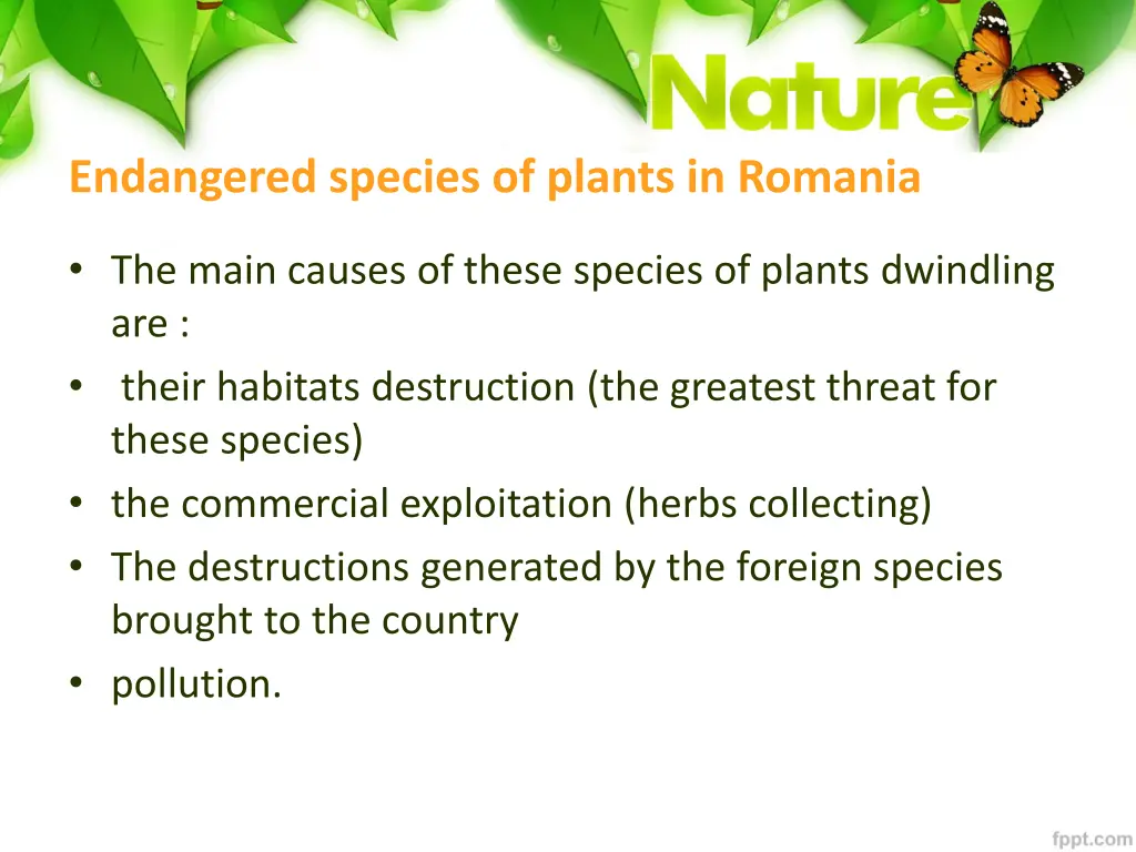 endangered species of plants in romania