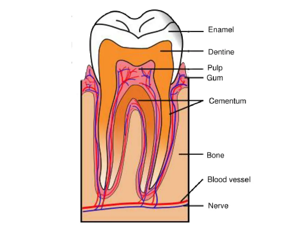 slide3