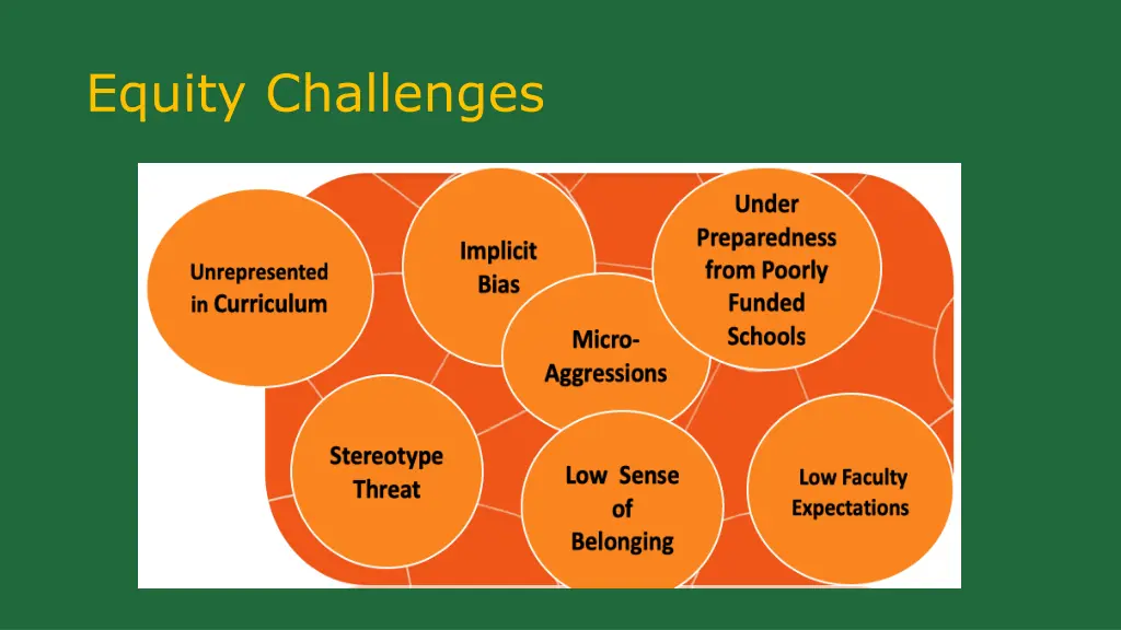 equity challenges