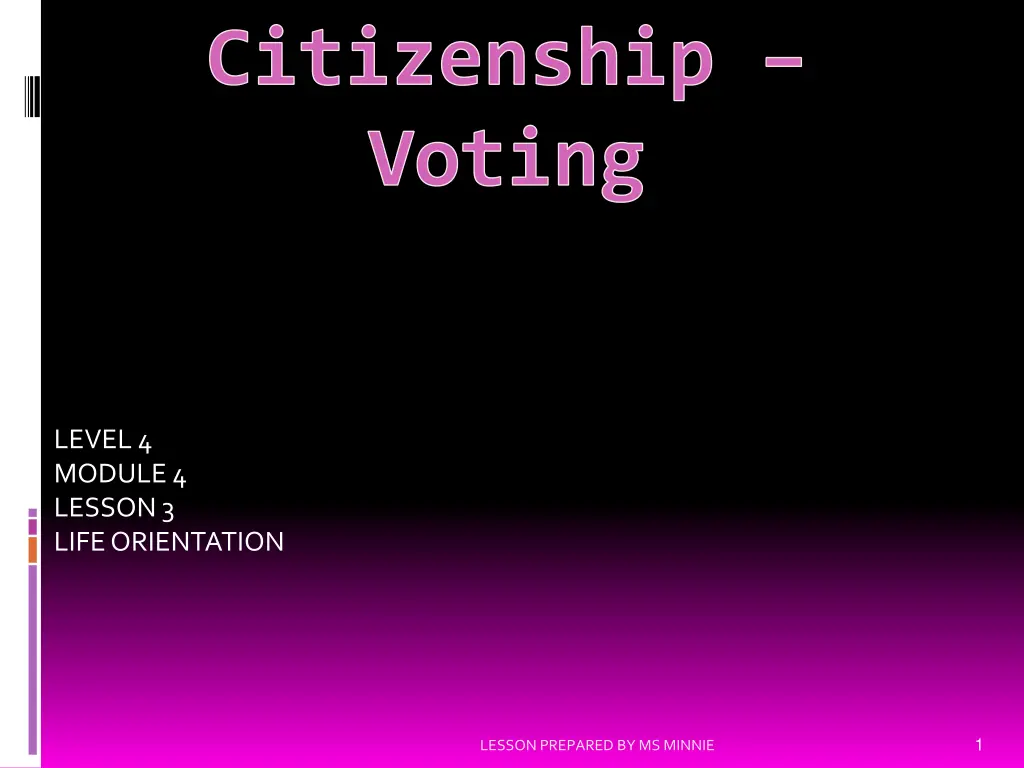 citizenship voting