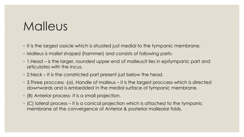 malleus