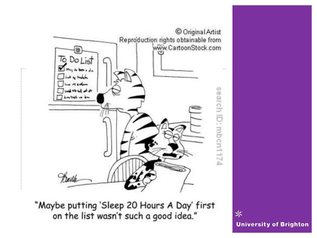 slide17
