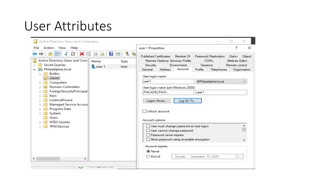 user attributes