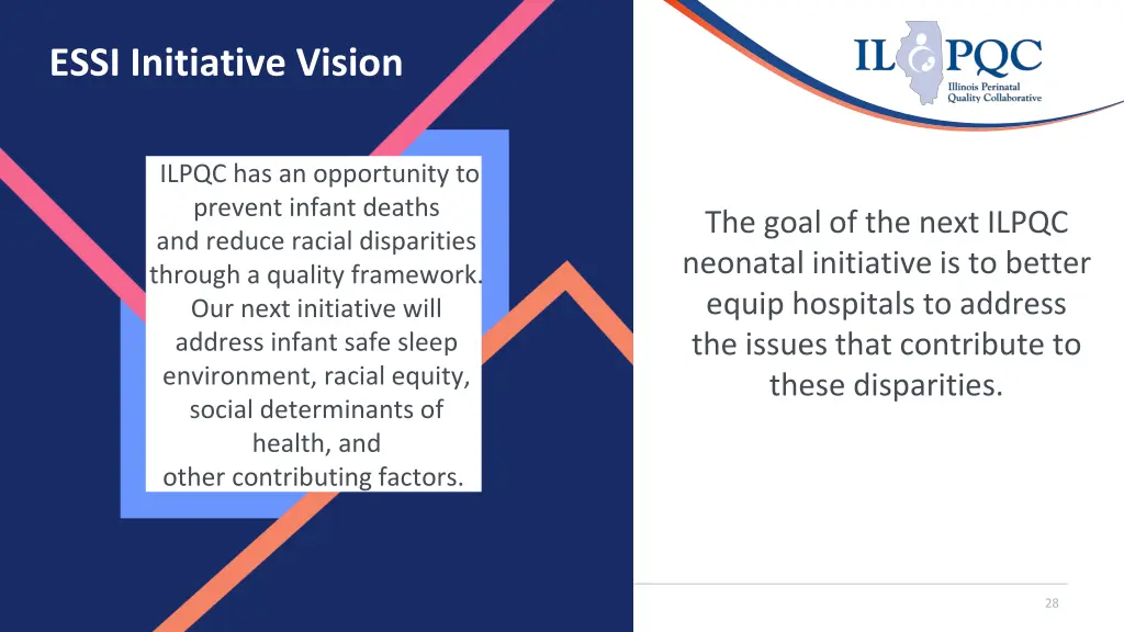 essi initiative vision