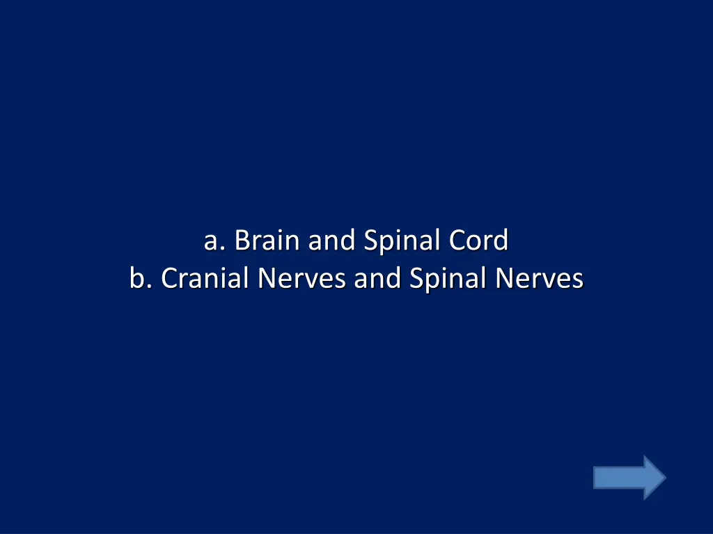 a brain and spinal cord b cranial nerves