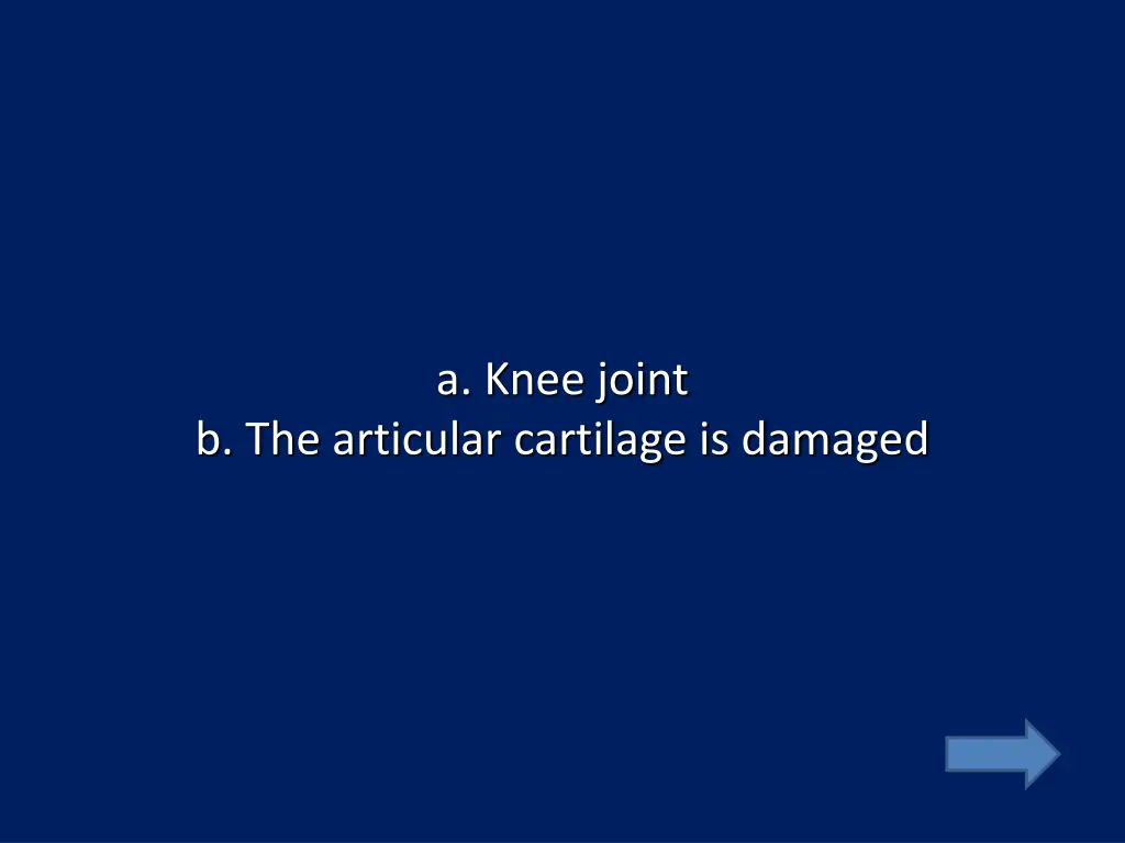 a knee joint