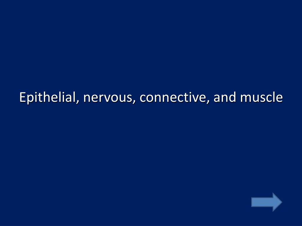 epithelial nervous connective and muscle